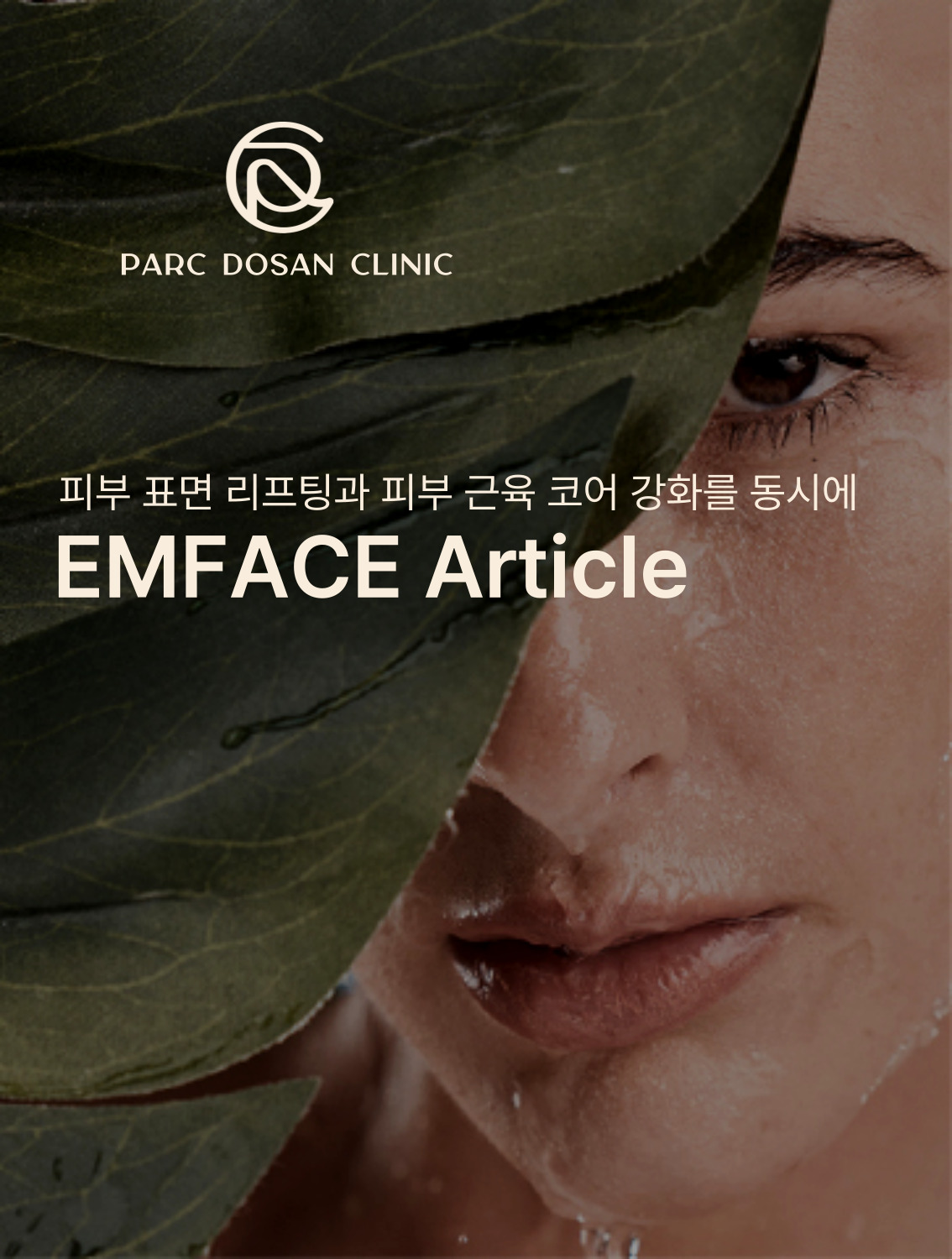 엠페이스 도입 기사..