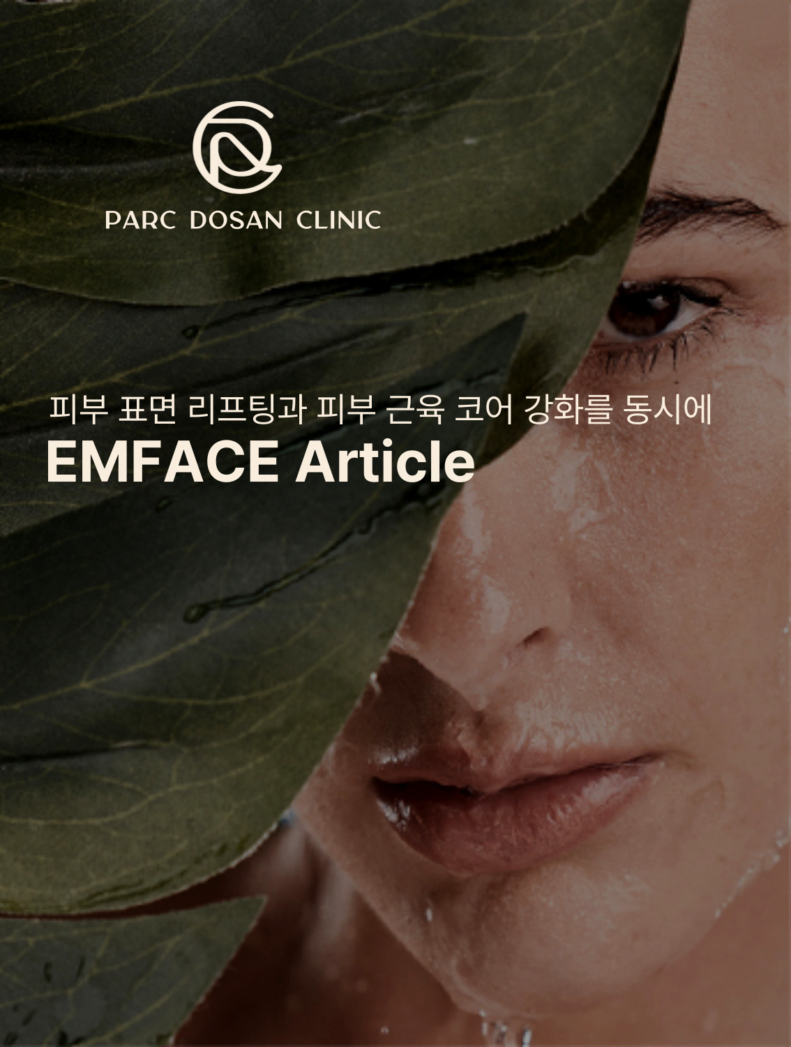 엠페이스 도입 기사..